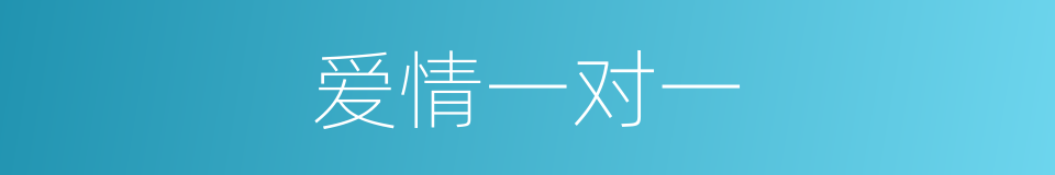 爱情一对一的同义词