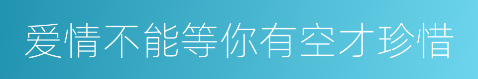 爱情不能等你有空才珍惜的同义词