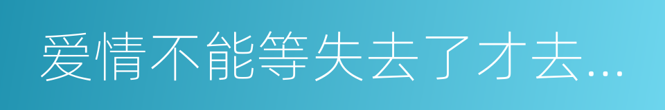 爱情不能等失去了才去珍惜的同义词