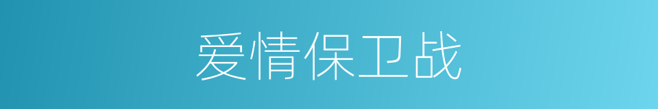 爱情保卫战的同义词
