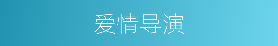 爱情导演的同义词