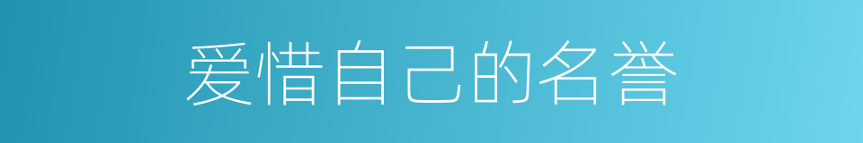 爱惜自己的名誉的同义词