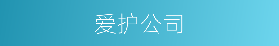 爱护公司的同义词