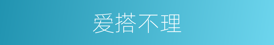 爱搭不理的同义词