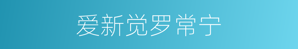 爱新觉罗常宁的同义词