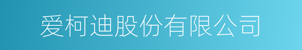 爱柯迪股份有限公司的同义词