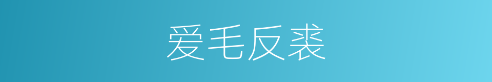 爱毛反裘的意思