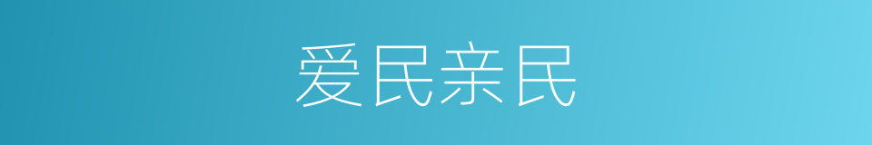 爱民亲民的同义词