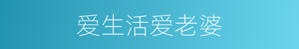 爱生活爱老婆的同义词