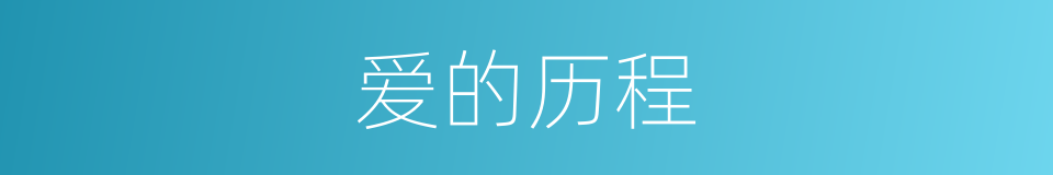 爱的历程的同义词