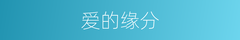 爱的缘分的同义词