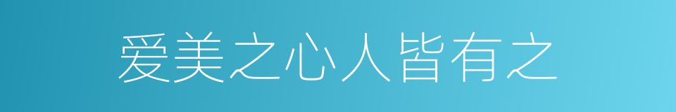 爱美之心人皆有之的意思