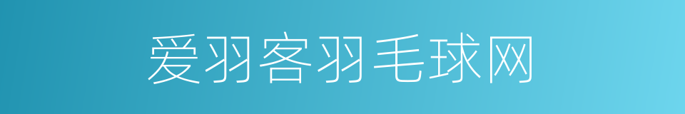 爱羽客羽毛球网的同义词