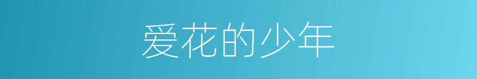 爱花的少年的同义词