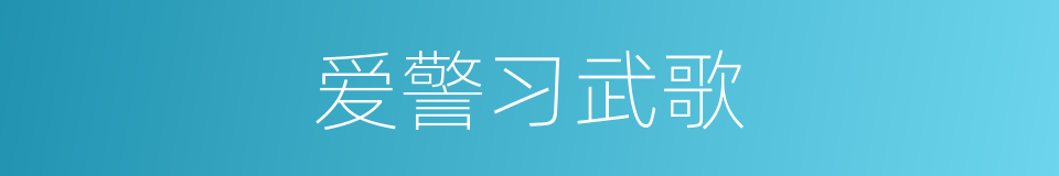 爱警习武歌的同义词