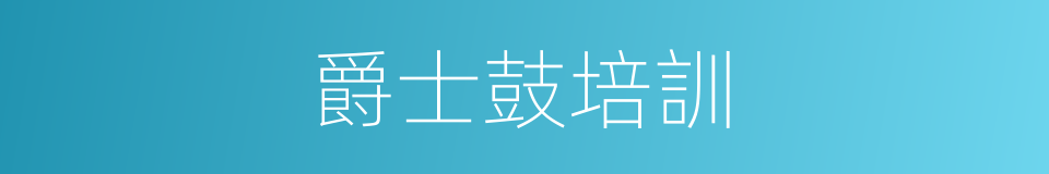 爵士鼓培訓的同義詞
