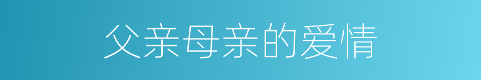 父亲母亲的爱情的同义词