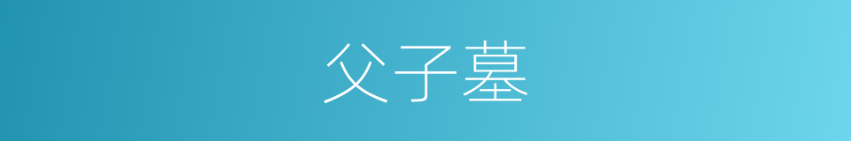 父子墓的同义词