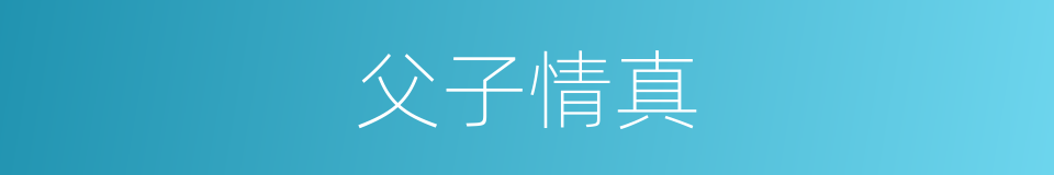 父子情真的同义词