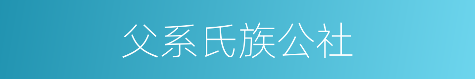 父系氏族公社的意思