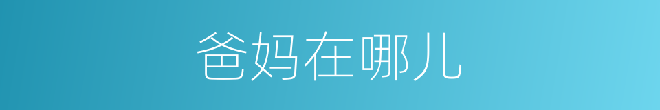爸妈在哪儿的同义词