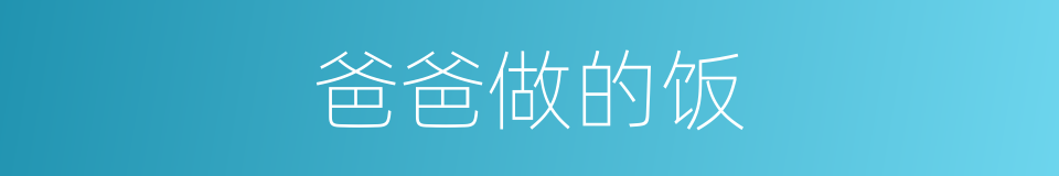 爸爸做的饭的同义词
