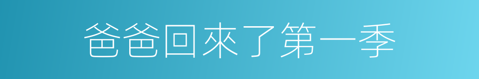爸爸回來了第一季的同義詞