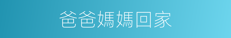 爸爸媽媽回家的同義詞