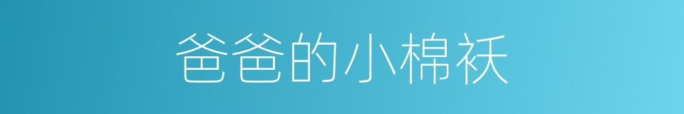 爸爸的小棉袄的同义词