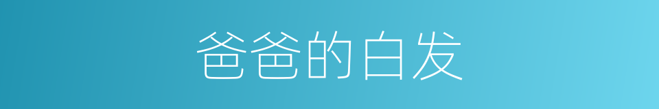 爸爸的白发的同义词