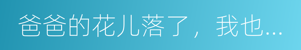 爸爸的花儿落了，我也不再是小孩子的同义词