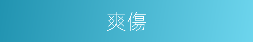 爽傷的意思