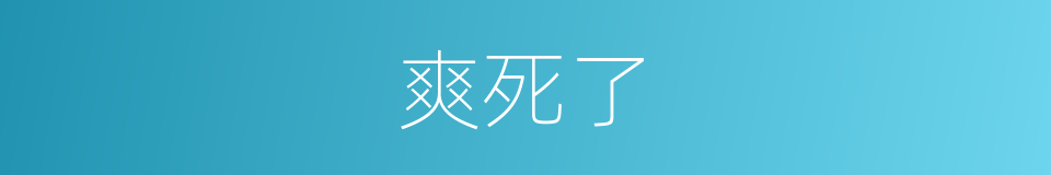 爽死了的意思