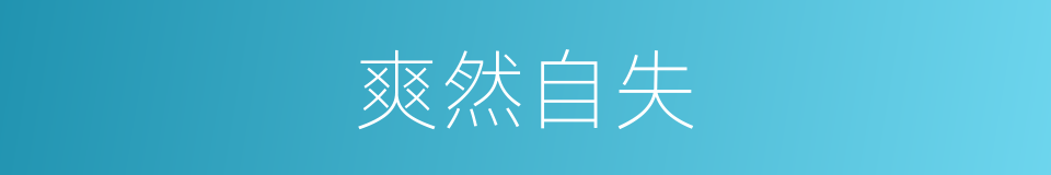爽然自失的意思