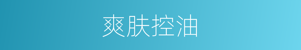爽肤控油的同义词