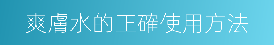 爽膚水的正確使用方法的同義詞