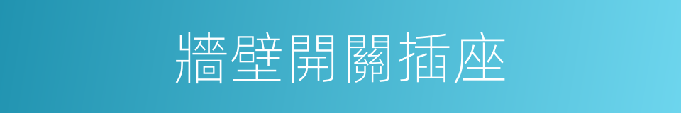 牆壁開關插座的同義詞