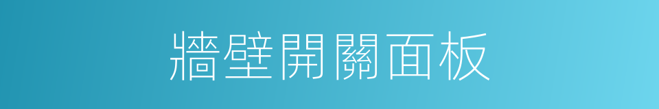 牆壁開關面板的同義詞