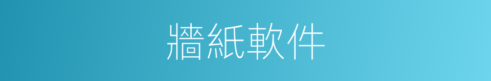 牆紙軟件的同義詞