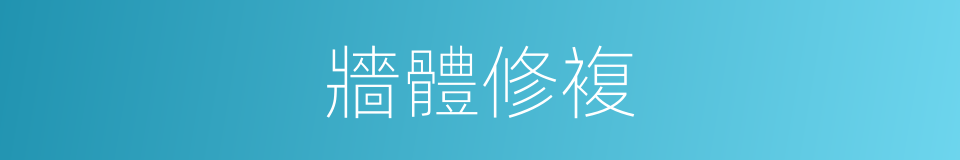 牆體修複的同義詞