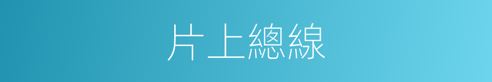 片上總線的同義詞