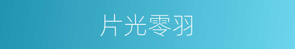 片光零羽的意思