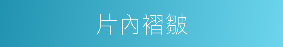 片內褶皺的同義詞