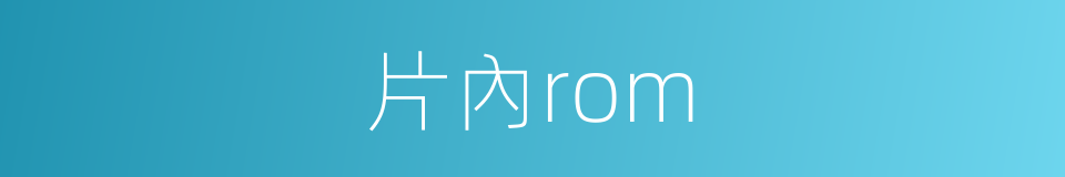 片內rom的同義詞