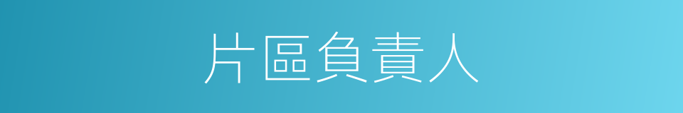 片區負責人的同義詞