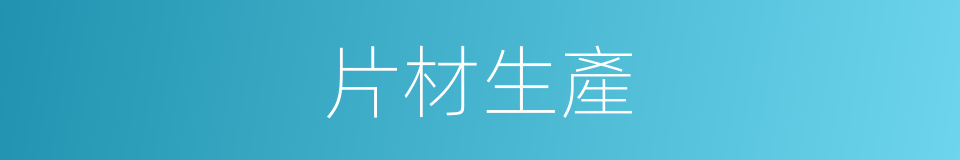 片材生產的同義詞