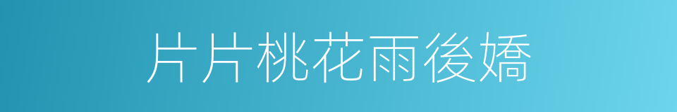 片片桃花雨後嬌的同義詞
