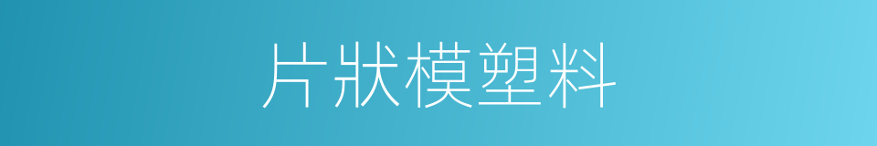 片狀模塑料的同義詞