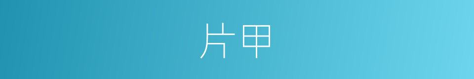 片甲的意思