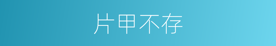 片甲不存的意思